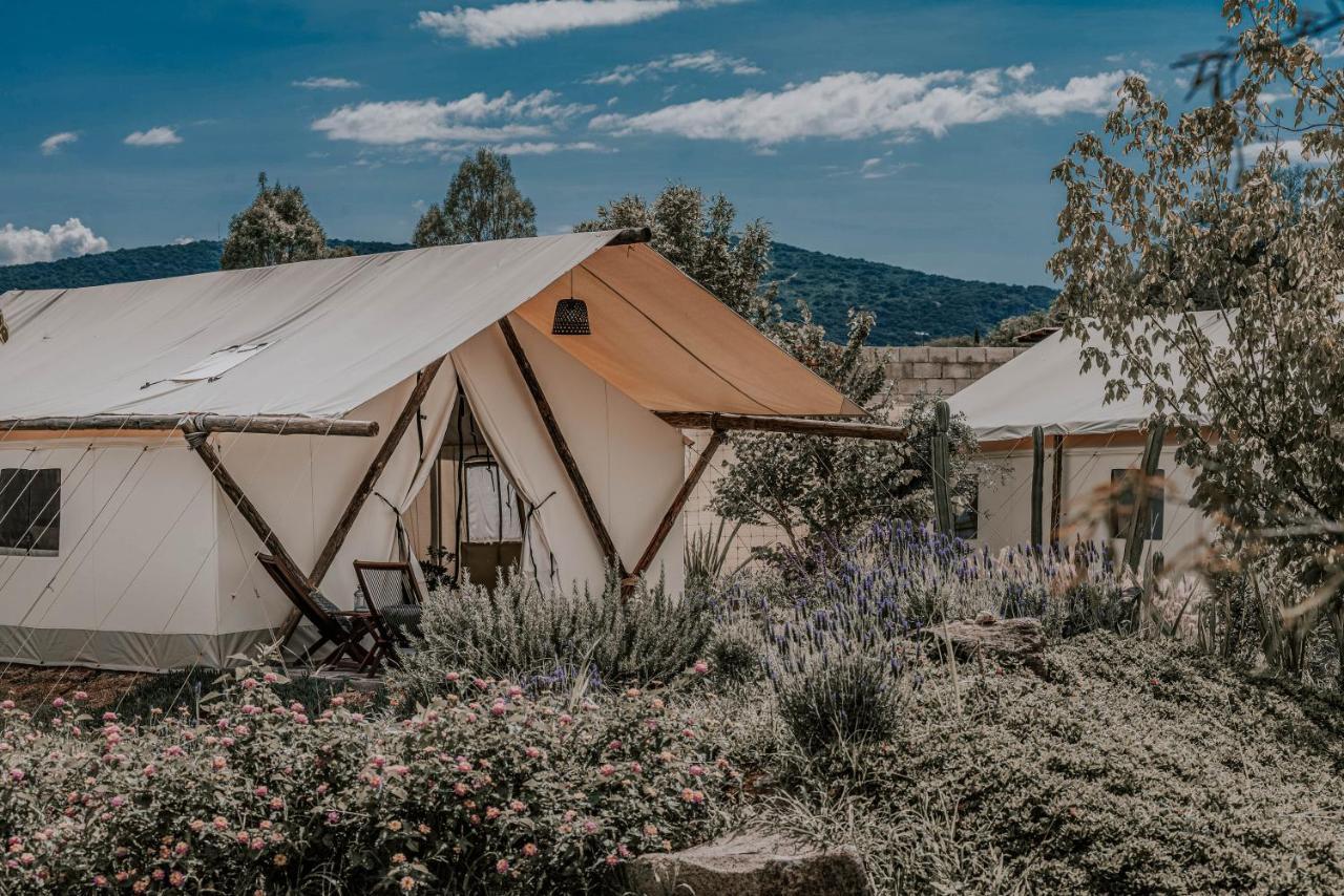 Luxuszelt Salterra Glamping *