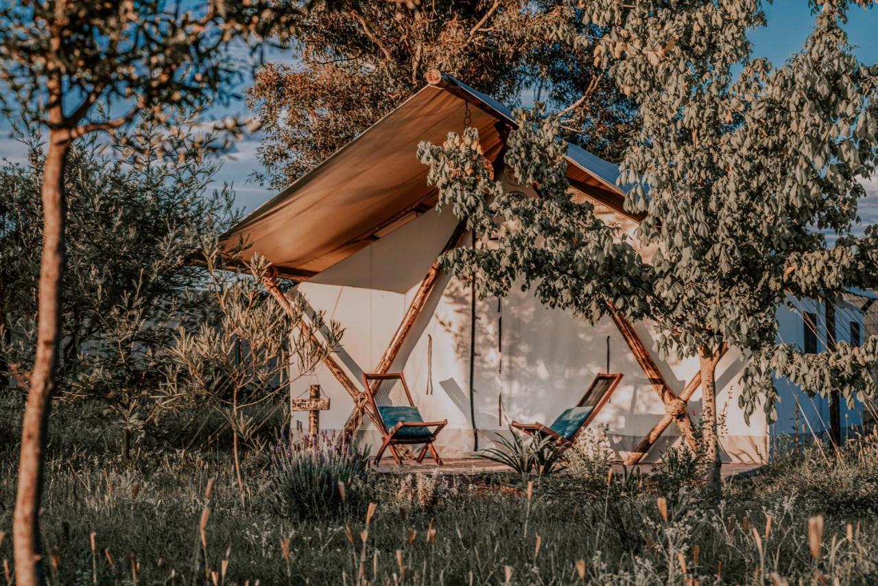 Salterra Glamping Tequisquiapan